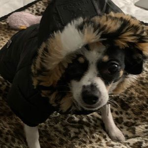 Meet your Posher, Kristin